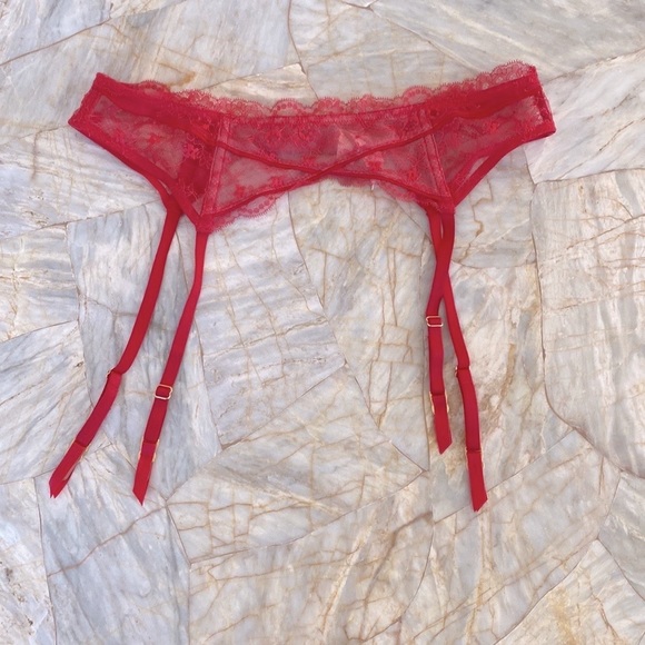 2 Pc Set  VS Medium/Large Garter + Medium Panty - Picture 4 of 12